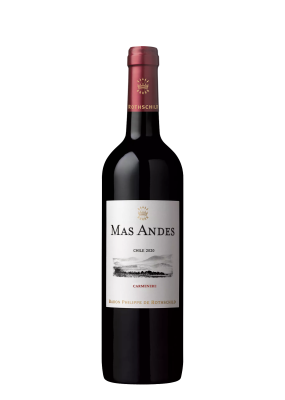 Mas Andes Carmenere 75Cl Promo
