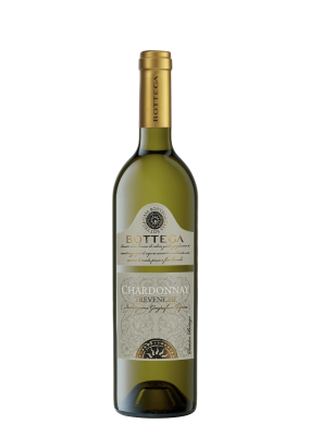 Bottega Chardonnay Trevenezie 75 Cl.